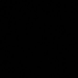 Meet your Posher, Shanel